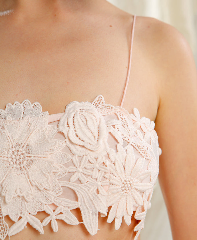 POMPOM CROP